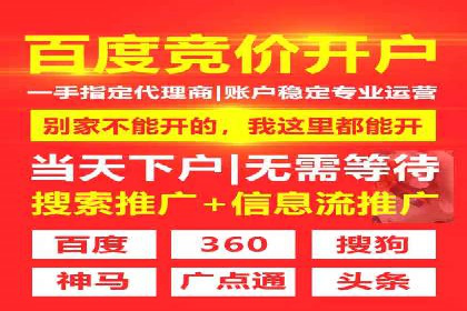 实战解析：SEM代运营成功案例分享